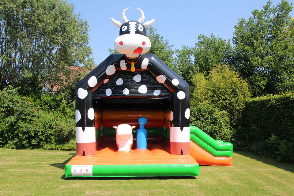 Vache 1